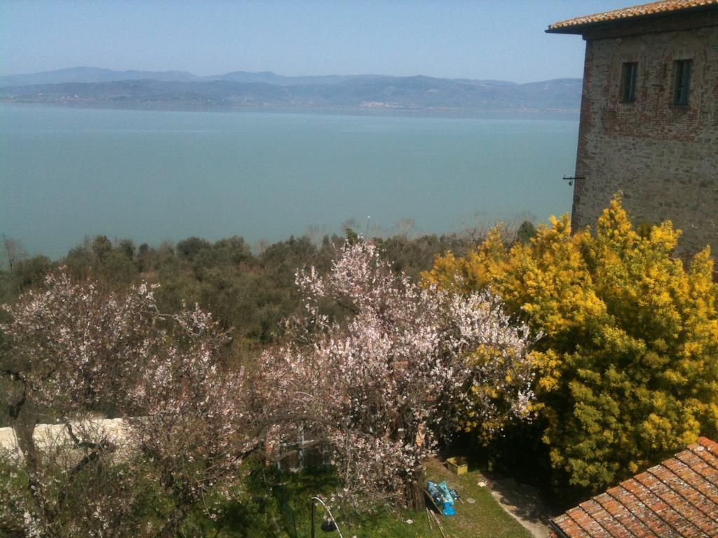 Ascanio Appartamenti Castiglione del Lago Exteriör bild